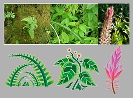 矢量高清野生植物素材