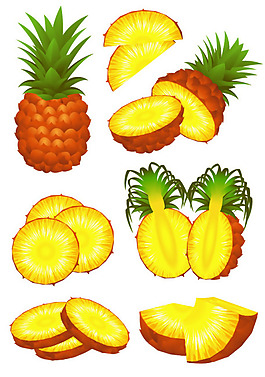 精美鳳梨矢量素材