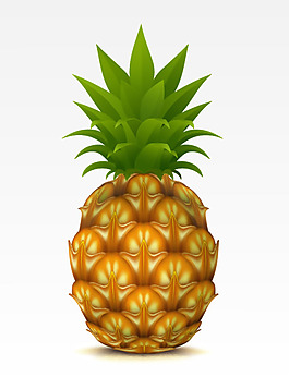 精美菠蘿矢量素材