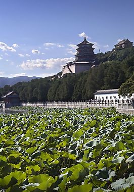 頤和園佛香閣荷塘