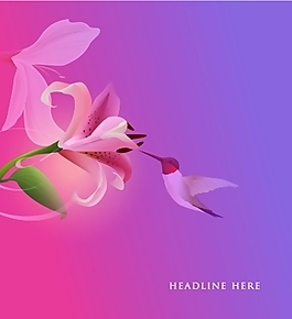 矢量素材鮮花背景圖片