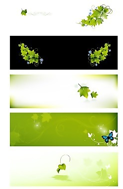 韓國樹葉BANNER橫幅圖片素材