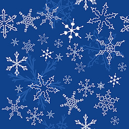 精美雪花