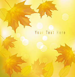 矢量璀璨楓葉浪漫背景素材