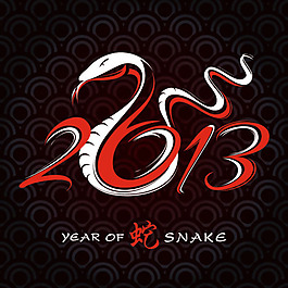 2013logo設(shè)計(jì)