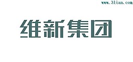 維新集團(tuán)