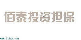 佰泰投資擔(dān)保