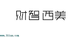 財(cái)智西美