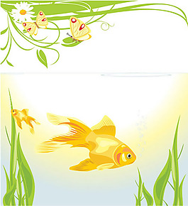 金魚蝴蝶