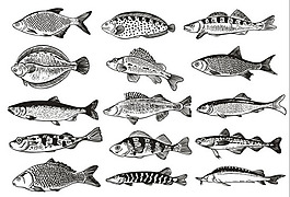 魚單色圖案