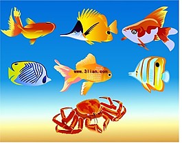 海洋生物魚蟹