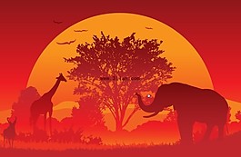 夕阳下的大象长颈鹿