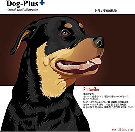 狗