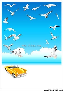 飛翔的鳥