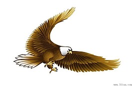 鷹
