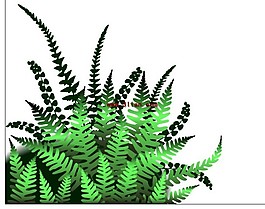 植物葉子
