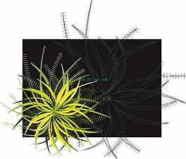 植物花卉