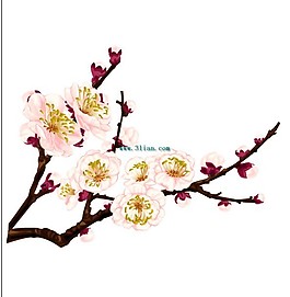 梅花