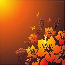 美麗的鮮花