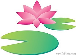 荷花
