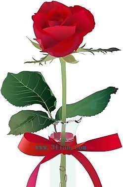 插花