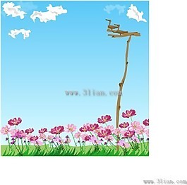 美麗的鮮花