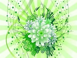 精美花卉