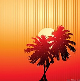 夕阳下椰树