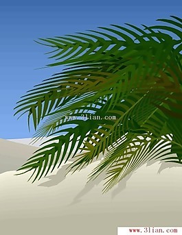 自然風(fēng)景