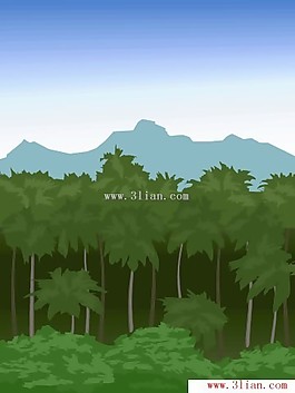 綠色樹林