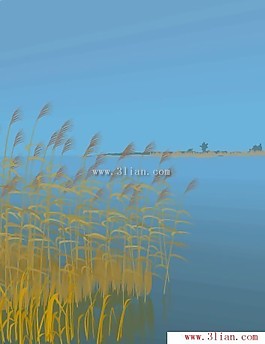 平靜的湖面