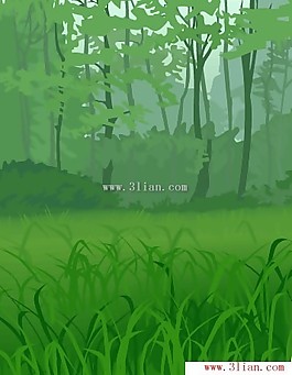 樹林草地