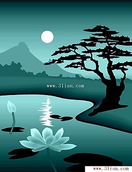 美麗的夜晚