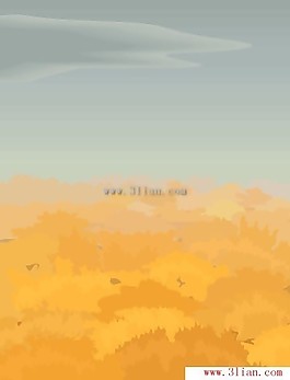 楓樹