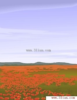 滿山紅花