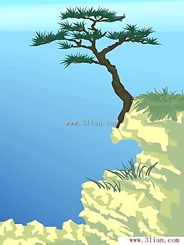 風(fēng)景