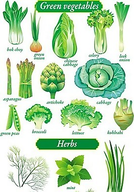 精致绿色蔬菜