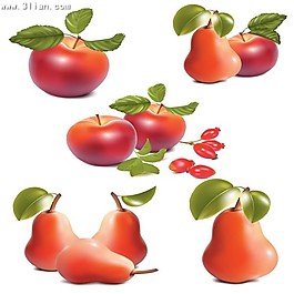 超写实苹果和梨
