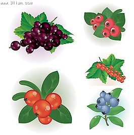 小紅果