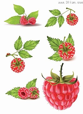 草莓