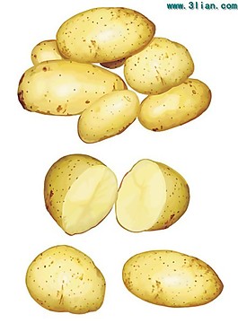 土豆