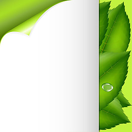 矢量紙張綠葉背景素材