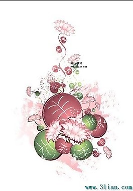 美丽的花卉花纹