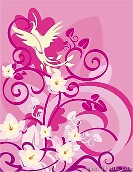 花卉花紋