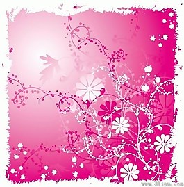 韓國粉色花紋