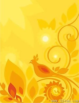 陽光花卉花紋