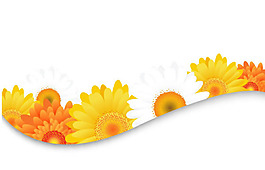 矢量图-菊花花边
