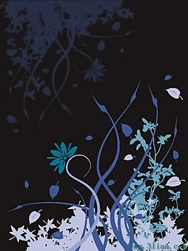 精美黑色背景與花紋