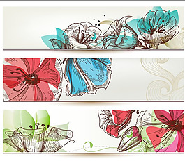 花卉插畫橫幅