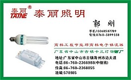 照明公司名片模板